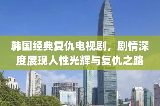 韩国经典复仇电视剧，剧情深度展现人性光辉与复仇之路