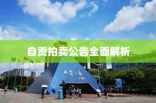 自贡拍卖公告全面解析