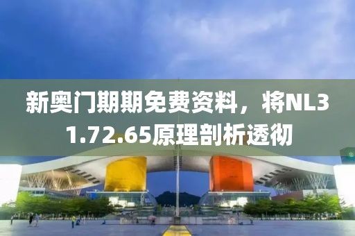 新奥门期期免费资料，将NL31.72.65原理剖析透彻