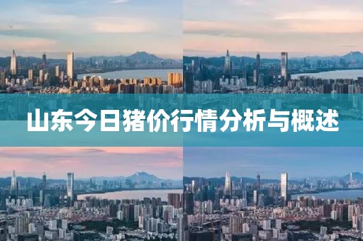山东今日猪价行情分析与概述