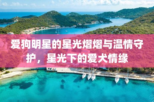 爱狗明星的星光熠熠与温情守护，星光下的爱犬情缘