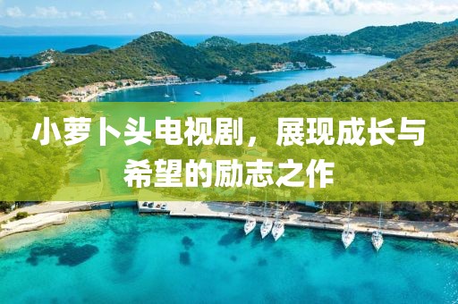 小萝卜头电视剧，展现成长与希望的励志之作
