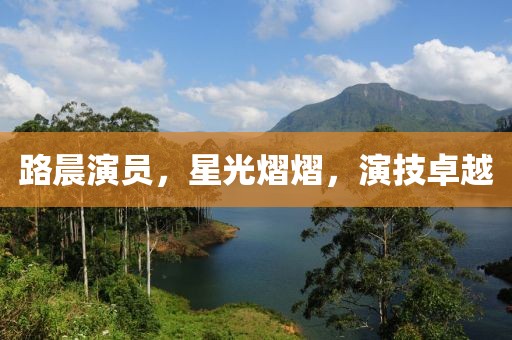 路晨演员，星光熠熠，演技卓越