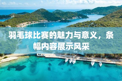 羽毛球比赛的魅力与意义，条幅内容展示风采