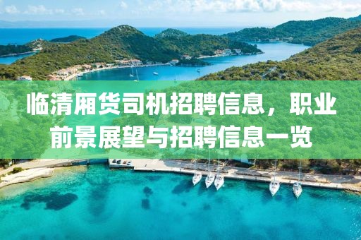 临清厢货司机招聘信息，职业前景展望与招聘信息一览