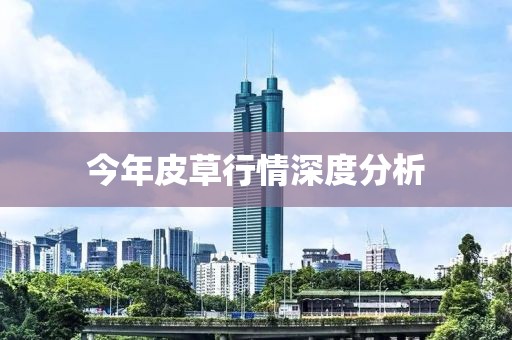 今年皮草行情深度分析