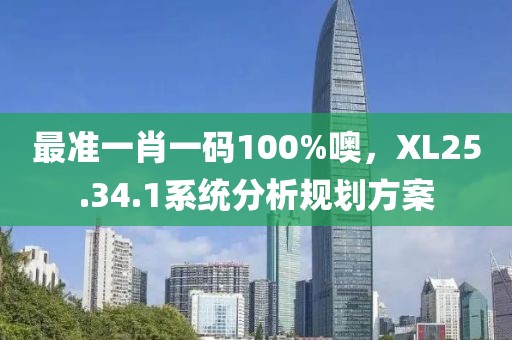 最准一肖一码100%噢，XL25.34.1系统分析规划方案