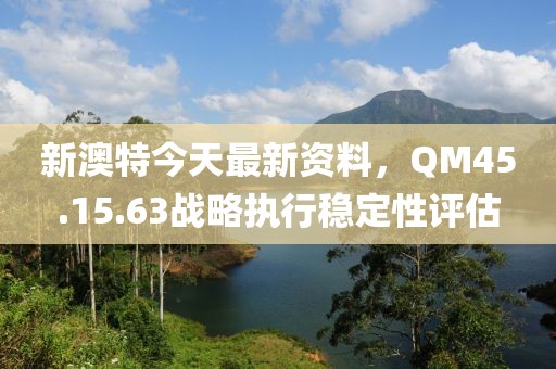 新澳特今天最新资料，QM45.15.63战略执行稳定性评估