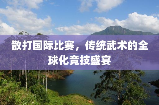 散打国际比赛，传统武术的全球化竞技盛宴