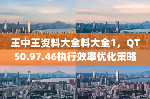 王中王资料大全料大全1，QT50.97.46执行效率优化策略