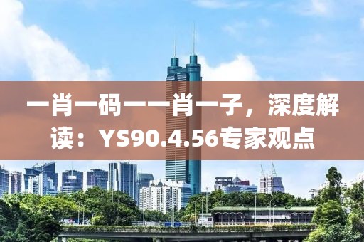 一肖一码一一肖一子，深度解读：YS90.4.56专家观点