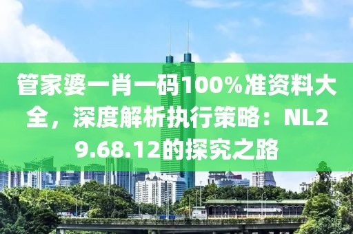 管家婆一肖一码100%准资料大全，深度解析执行策略：NL29.68.12的探究之路