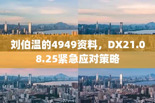 刘伯温的4949资料，DX21.08.25紧急应对策略