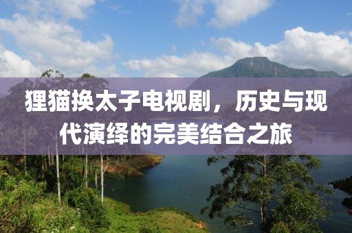 狸猫换太子电视剧，历史与现代演绎的完美结合之旅