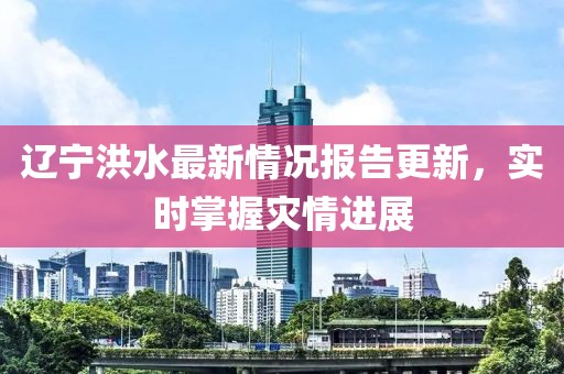 辽宁洪水最新情况报告更新，实时掌握灾情进展