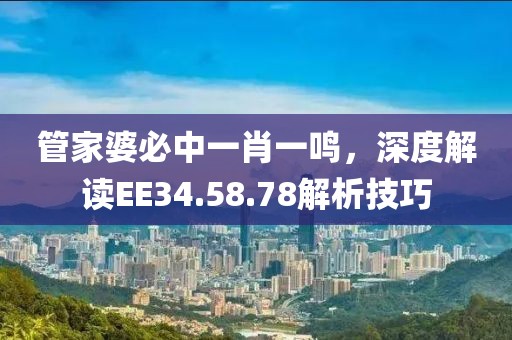 管家婆必中一肖一鸣，深度解读EE34.58.78解析技巧