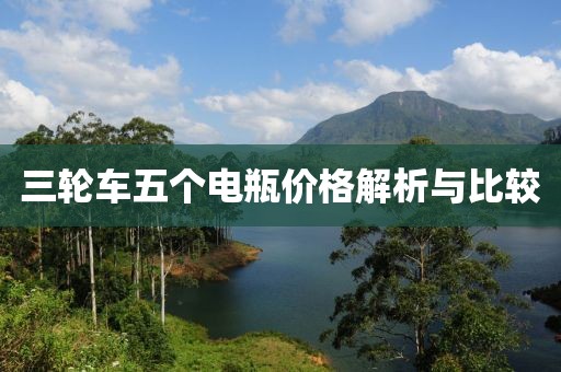 三轮车五个电瓶价格解析与比较