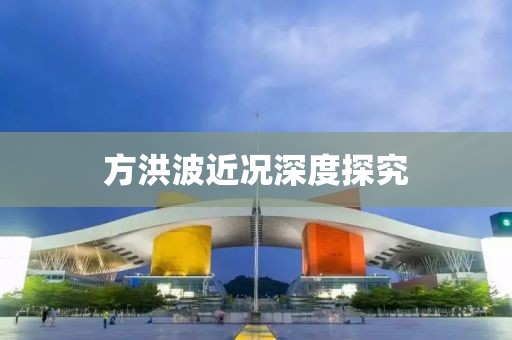 方洪波近况深度探究