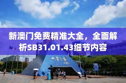 新澳门免费精准大全，全面解析SB31.01.43细节内容