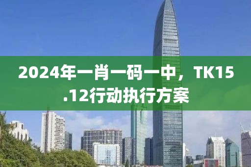 2024年一肖一码一中，TK15.12行动执行方案