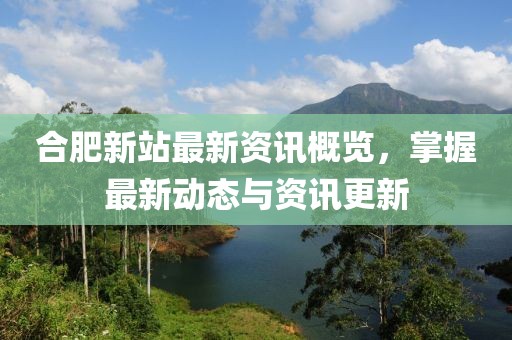 合肥新站最新资讯概览，掌握最新动态与资讯更新