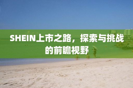 SHEIN上市之路，探索与挑战的前瞻视野