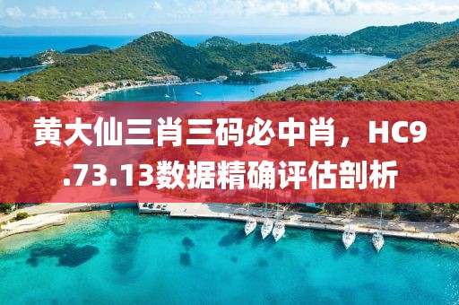 黄大仙三肖三码必中肖，HC9.73.13数据精确评估剖析