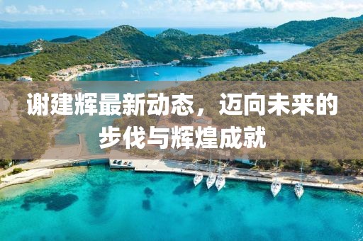 谢建辉最新动态，迈向未来的步伐与辉煌成就