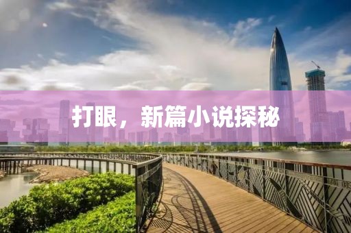 打眼，新篇小说探秘