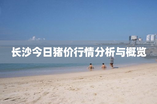 长沙今日猪价行情分析与概览