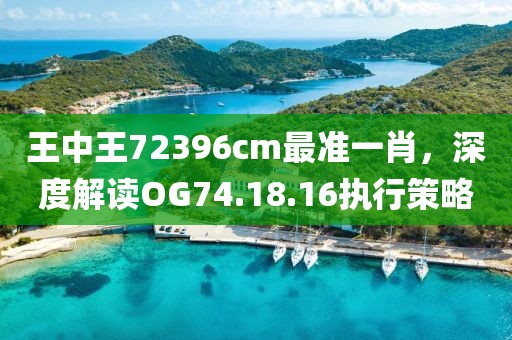王中王72396cm最准一肖，深度解读OG74.18.16执行策略
