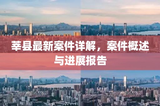 莘县最新案件详解，案件概述与进展报告