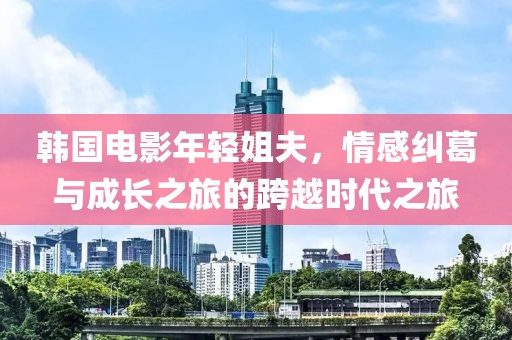 韩国电影年轻姐夫，情感纠葛与成长之旅的跨越时代之旅
