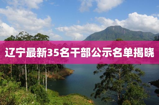 辽宁最新35名干部公示名单揭晓