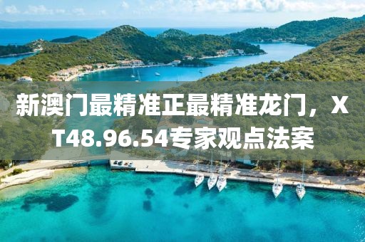 新澳门最精准正最精准龙门，XT48.96.54专家观点法案