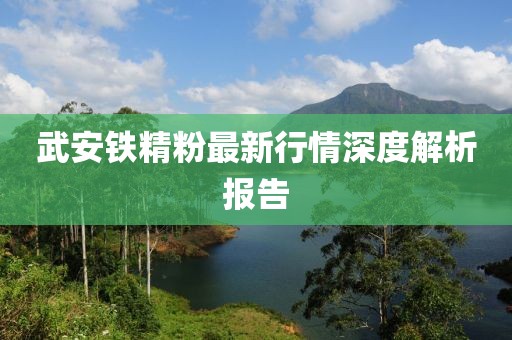 武安铁精粉最新行情深度解析报告