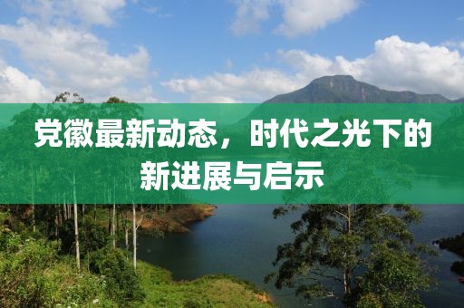 党徽最新动态，时代之光下的新进展与启示