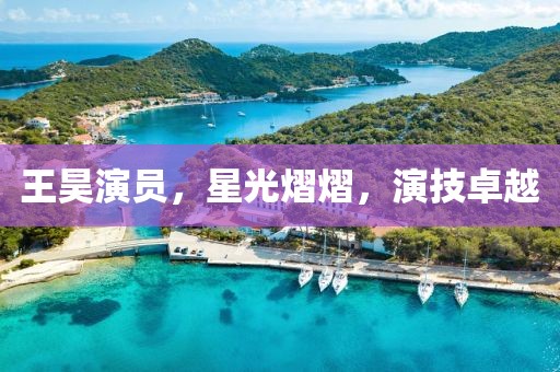 王昊演员，星光熠熠，演技卓越