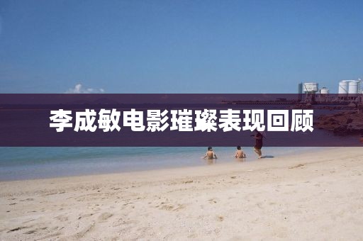 李成敏电影璀璨表现回顾