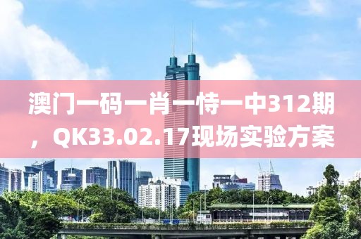 澳门一码一肖一恃一中312期，QK33.02.17现场实验方案