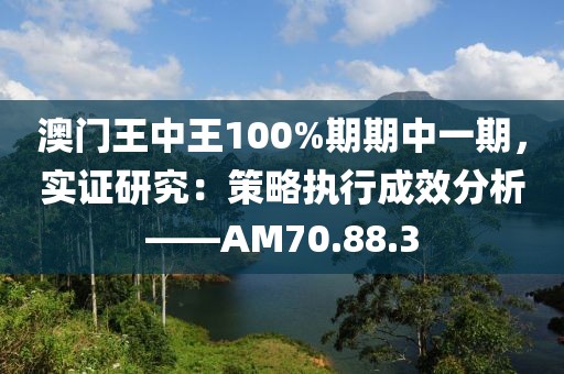 澳门王中王100%期期中一期，实证研究：策略执行成效分析——AM70.88.3
