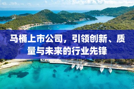 马桶上市公司，引领创新、质量与未来的行业先锋