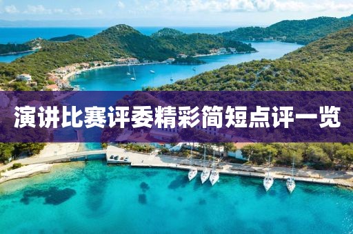 演讲比赛评委精彩简短点评一览