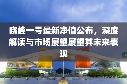 晓峰一号最新净值公布，深度解读与市场展望展望其未来表现