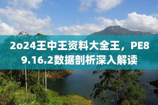 2o24王中王资料大全王，PE89.16.2数据剖析深入解读