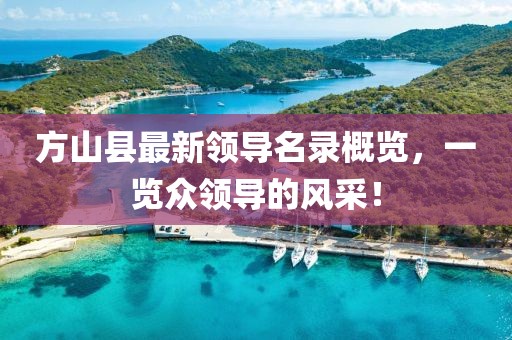 方山县最新领导名录概览，一览众领导的风采！