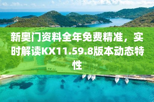 新奥门资料全年免费精准，实时解读KX11.59.8版本动态特性