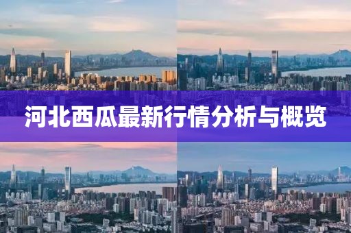 河北西瓜最新行情分析与概览