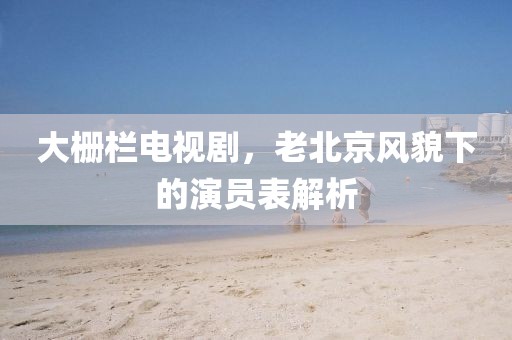 大栅栏电视剧，老北京风貌下的演员表解析