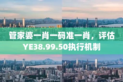 管家婆一肖一码准一肖，评估YE38.99.50执行机制